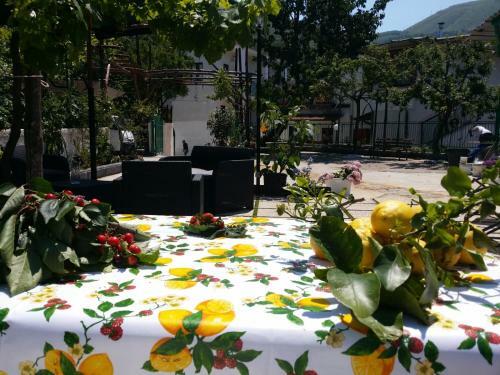 Apartamento B&B Casa Vacanza Cioffi