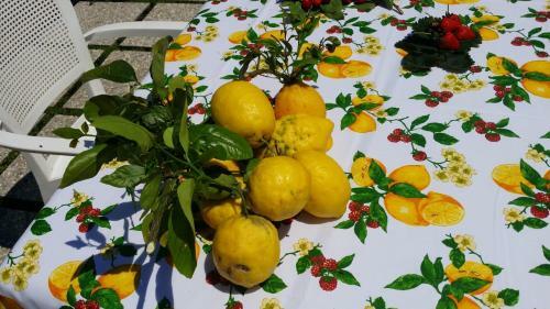Apartamento B&B Casa Vacanza Cioffi