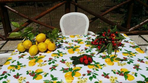 Apartamento B&B Casa Vacanza Cioffi