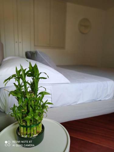 Apartamento Marechiaro Home Holiday