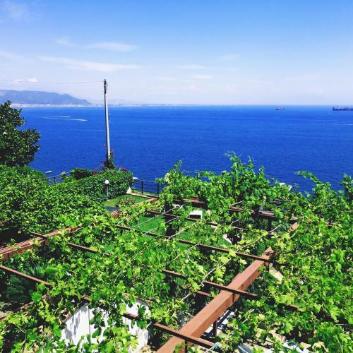 Bed & Breakfast Il Nido Del Gabbiano