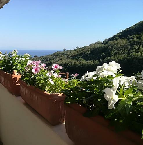 Bed & Breakfast Il Covo Delle Civette