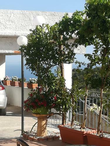Bed & Breakfast Il Covo Delle Civette