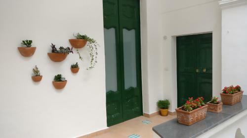 Apartamento Il Rigiuolo - Holiday Home