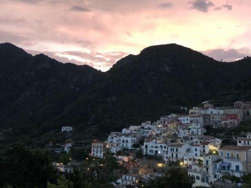 Casa Flora II B&B