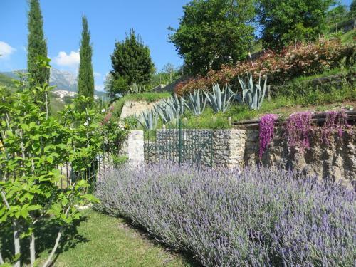 Villa Ancient Estate "il Trignano"