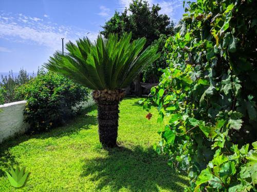 Apartamento Villa Delle Agavi