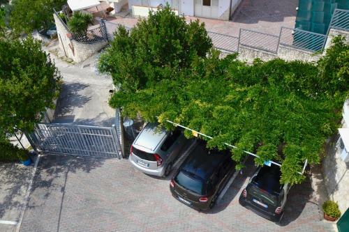 B&B Il Giardino Stellato