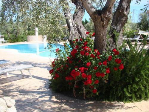Agroturismo Agriturismo I Tesori Del Sud