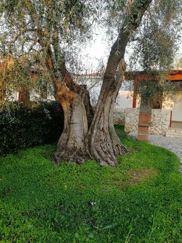 Agroturismo Agriturismo I Tesori Del Sud