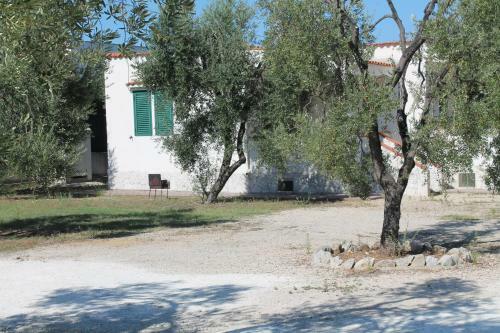 Tenuta Montincello