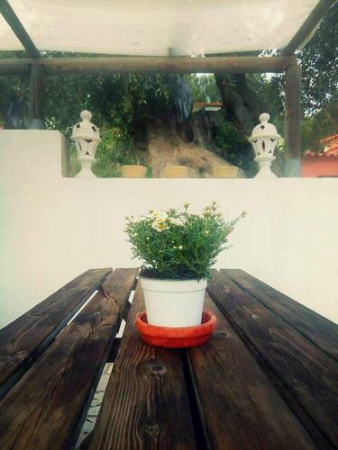 B&B Borgo Degli Ulivi