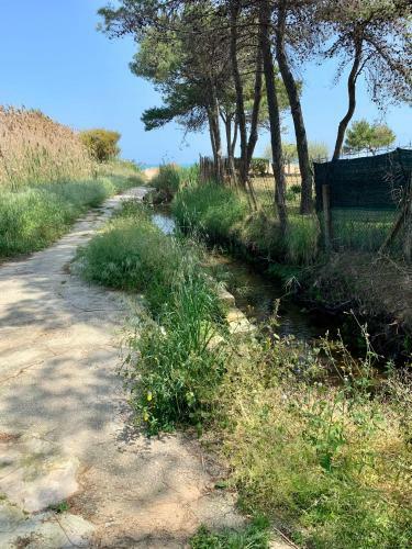 Hostal La Dimora In Riva Al Mare
