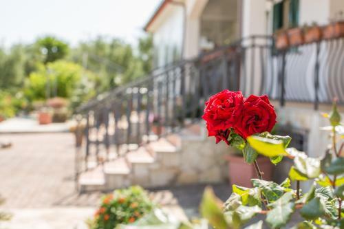 Villavesta Bed And Breakfast