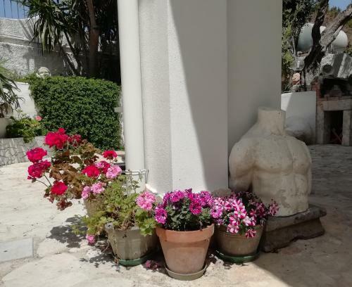 Bed & Breakfast L'altare Bianco