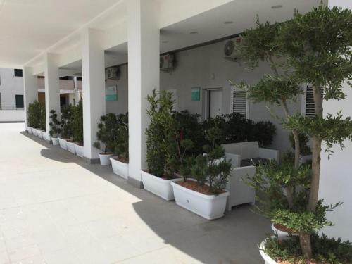 Ricciardelli Holiday Homes