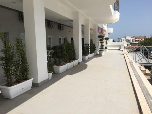Ricciardelli Holiday Homes