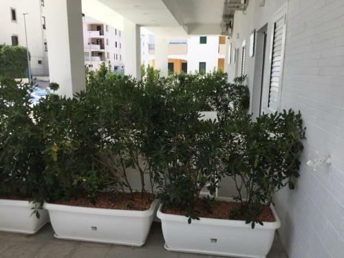 Ricciardelli Holiday Homes