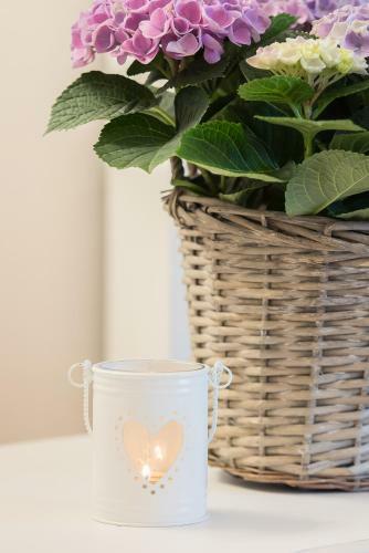 La Mansarda Segreta Mood Apartment
