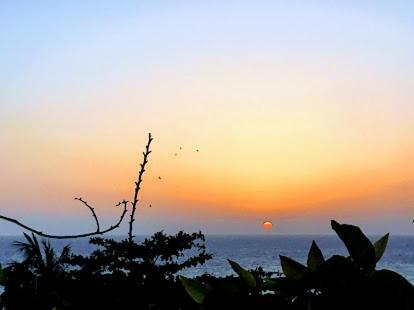 Eko Stay- Tropical Villas