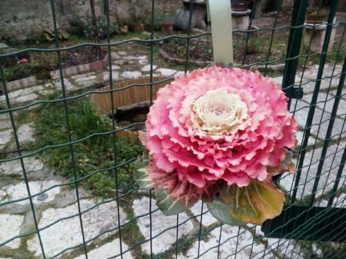Apartamento Veronauptoyou Garden
