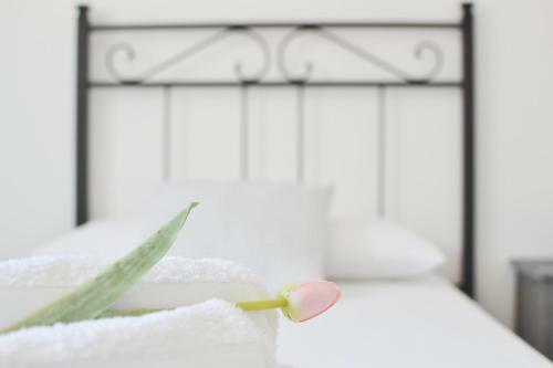 Apartamento Casa Chiara