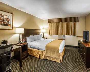 Hotel Quality Inn And Suites