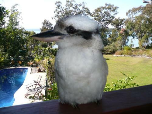 Yarrandabbi Dreaming Boutique B&B