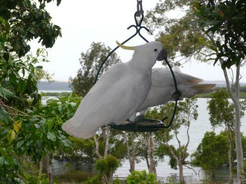 Yarrandabbi Dreaming Boutique B&B