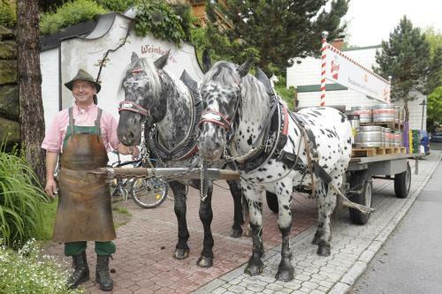 Bed & Breakfast Hotel Gasthof Kamml
