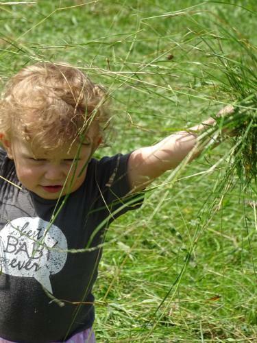 Agroturismo Sunnhof