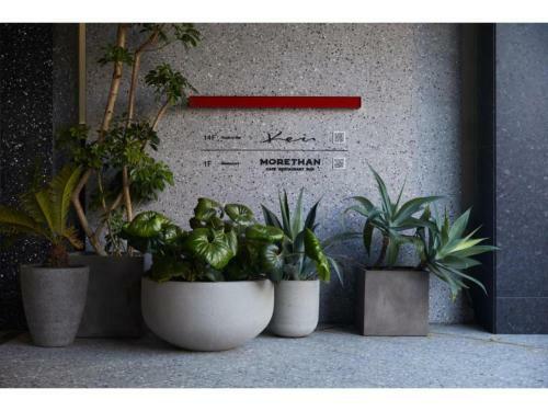 Hotel The Knot Hiroshima - Vacation Stay 48548v