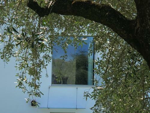 Apartamento Villa Il Bacio Del Sole