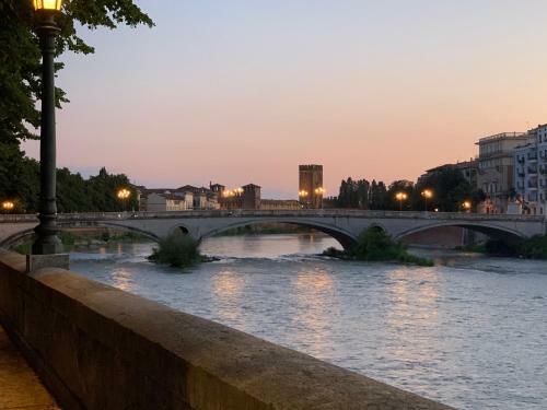 Riverview City Apartment