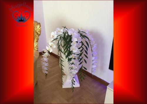 Hostal Magellano Room