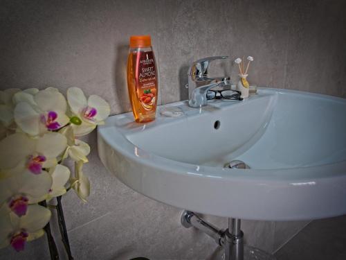 Apartamento Afrodite Loft Appartamento Psiche