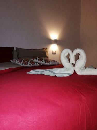 B&B Belli Dentro