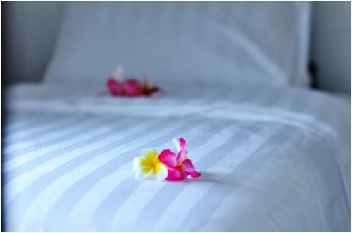 Cubu Homestay