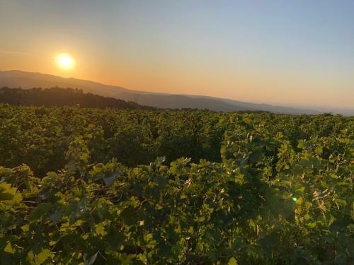 Apartamento Dimora Le Colline