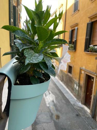 Apartamento Domus Suites Verona