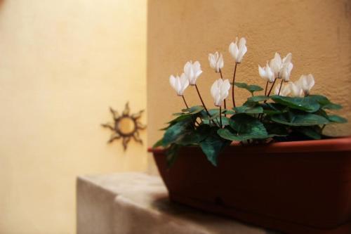 Hostal La Bella Verona Ugolini