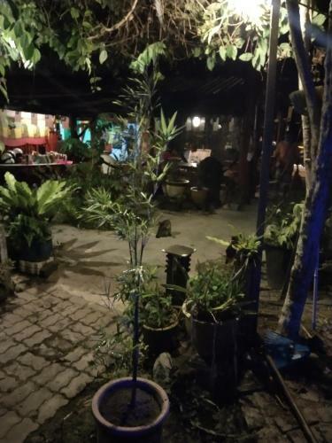 Nazri Nipah Camp Pangkor