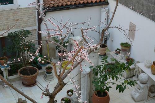 Hostal Alloggi Barbaria