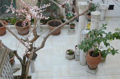 Hostal Alloggi Barbaria