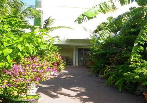 Ishigaki - Hotel / Vacation Stay 37379