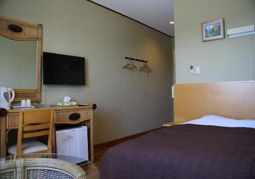 Ishigaki - Hotel / Vacation Stay 37379