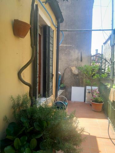 Hostal Sweet Home New