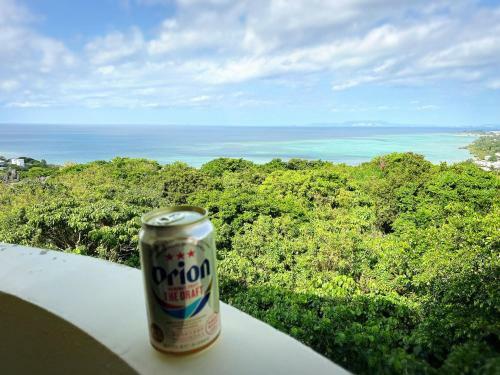 Yomitan Ocean View Apartment 401