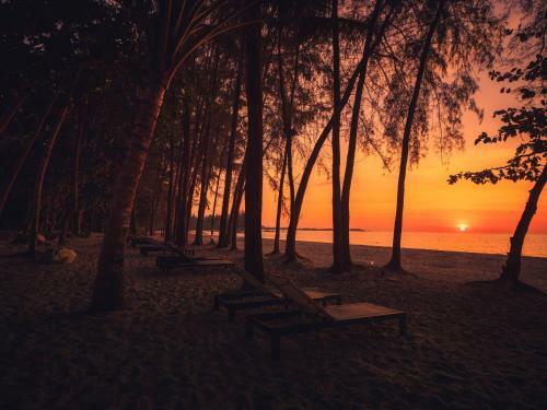 Hotel Avani Plus Khao Lak Resort - Sha Extra Plus