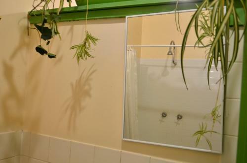 Hostal No14 Guest House